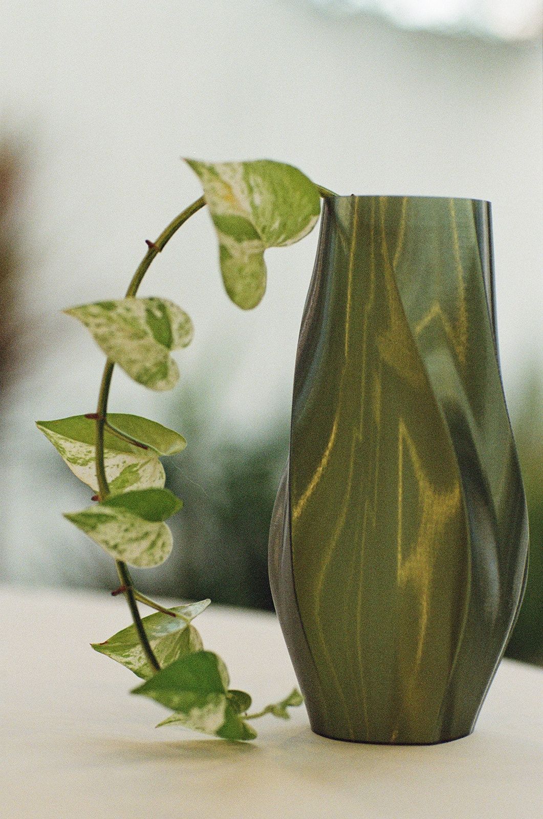 Green vase with trailing vine