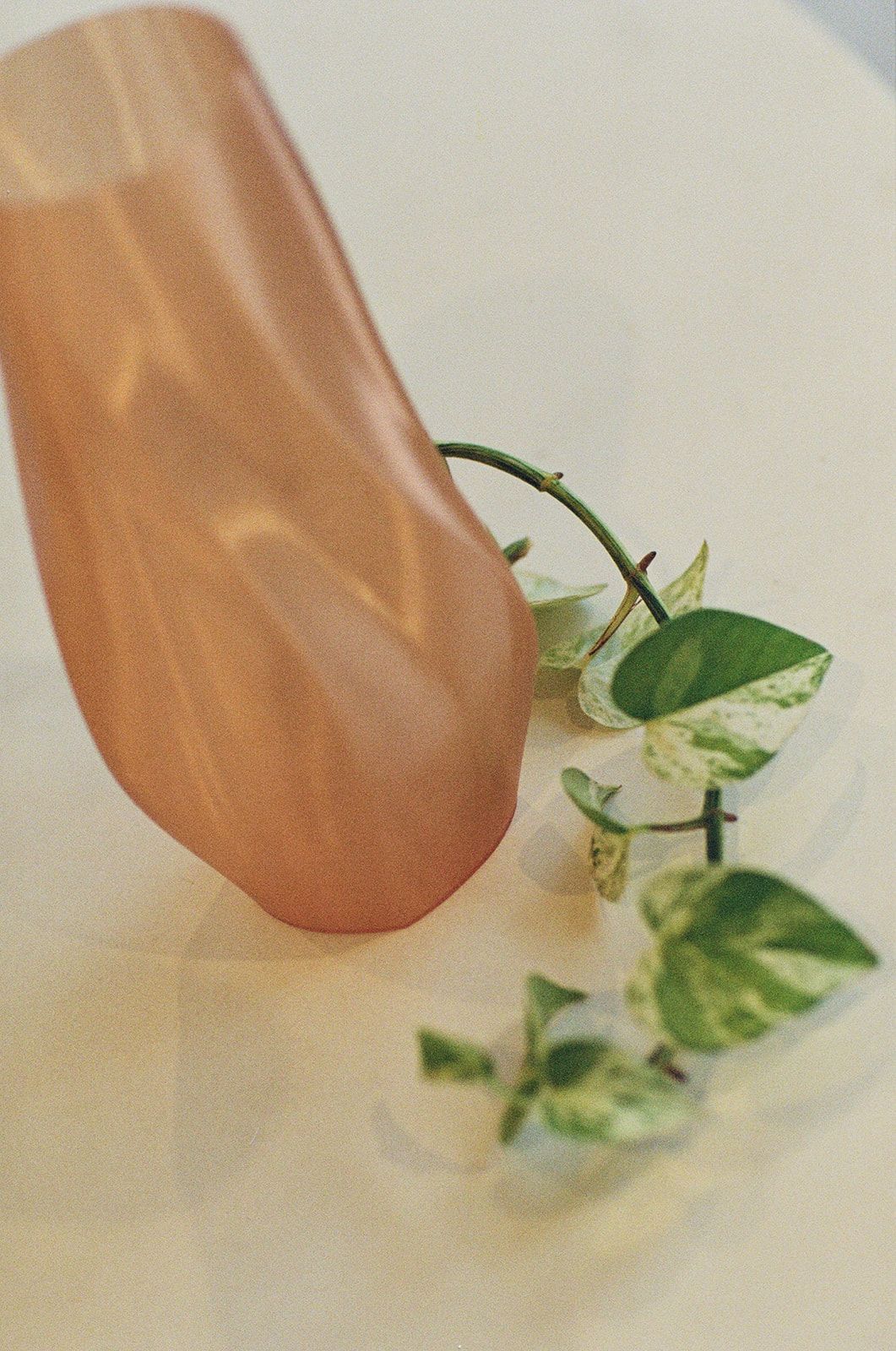Peach vase with vine, close