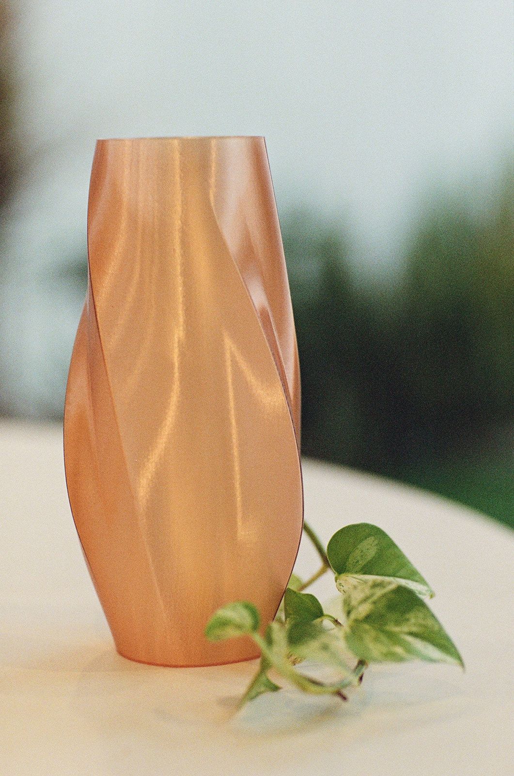 Peach vase with vine
